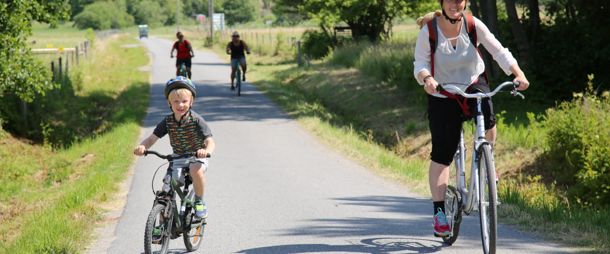 A family cycling at Koster