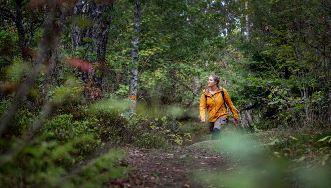 vandrare i skogen med oreange jacka