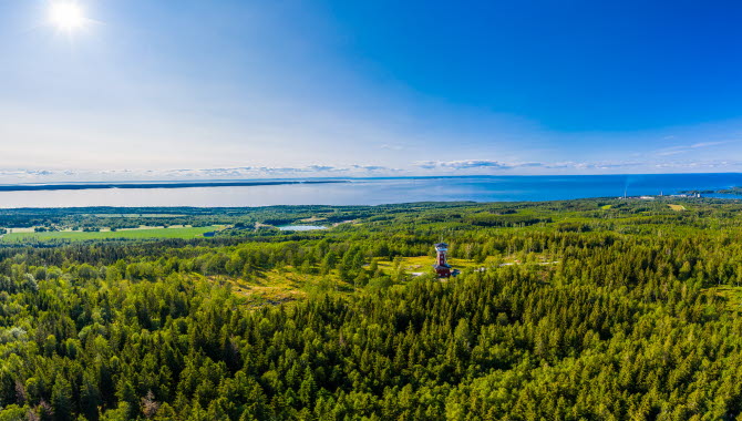 Flygbild över ett grönskande Kinnekulle med Vänern i bakgrunden. Man kan även skymta Kinnekulle utsiktstorn.