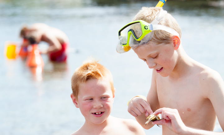 Barn införda badkläder håller i en krabba på en strand.