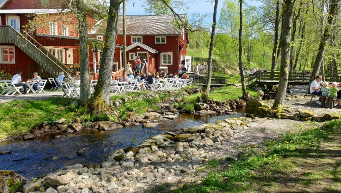 Vänga bogland and mill café