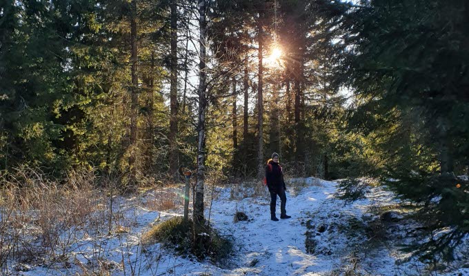 En kvinna står på en stig i skogen med solen lysandes bakom henne. På marken ligger det ett tunt lager med snö. 