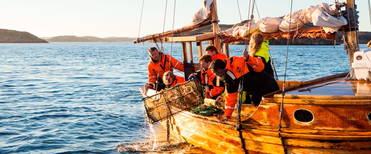 Fishing for Lobster