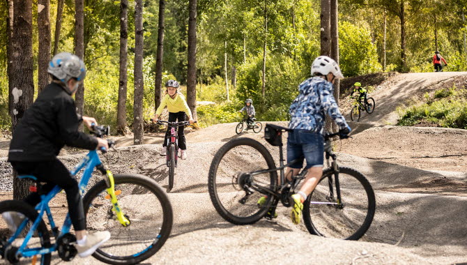 Barn och unga cyklar över grushinder i skogen. 