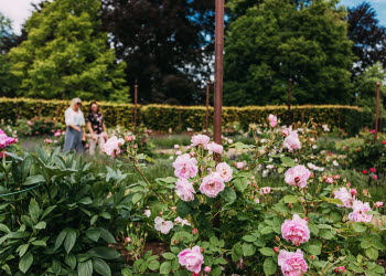 Hällekis Trädgård