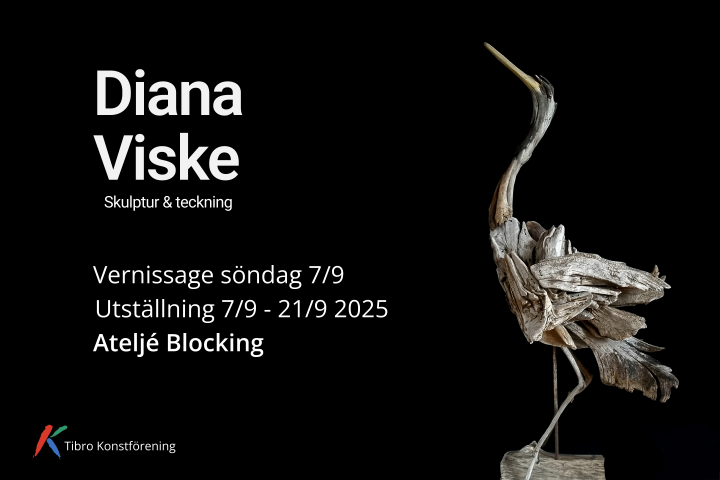 Vernissage Diana Viske