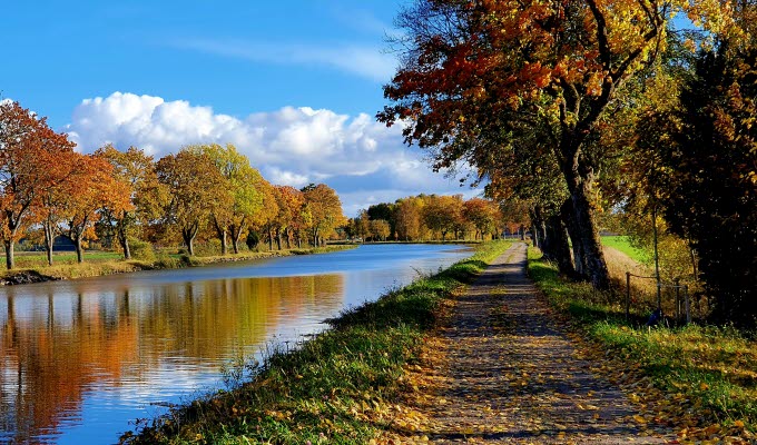 Göta kanal med dragväg och trädallé i höstiga färger på träden och löv på marken.