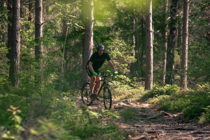 Mountainbikeled Skogsslingan vid Hafsten Resort