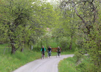 Tre personer cyklar på en grusväg 