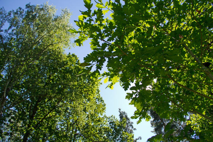 Naturreservat Hästhagen