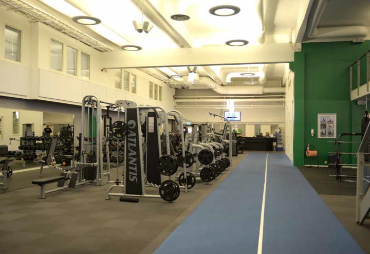 Tedactive Gym
