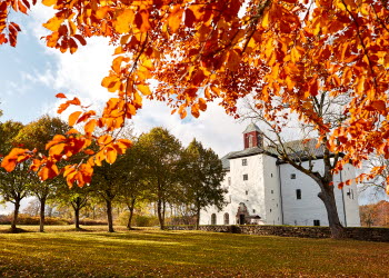 Stenslott mellan träd med höstlös