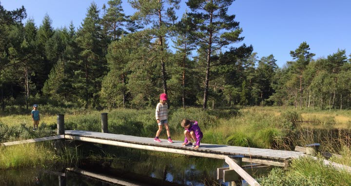 Sandsjön runt
