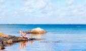 It's a sunny summer's day and a family with kids are fishing crabs from a cliff at Rörvid, South Koster. 