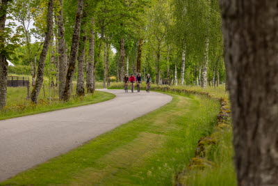 Ljungleden, Vårgårda