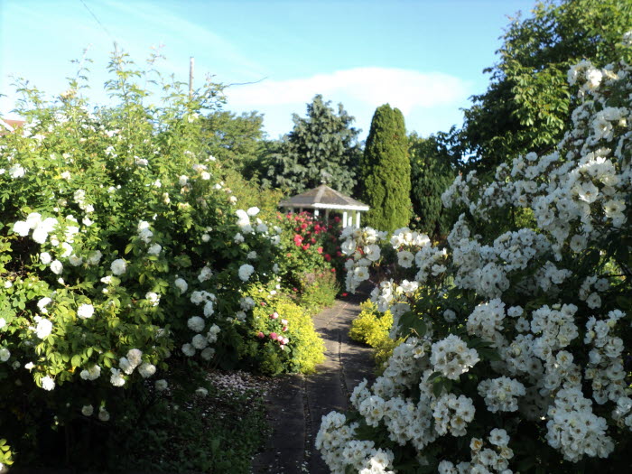 Örtagården