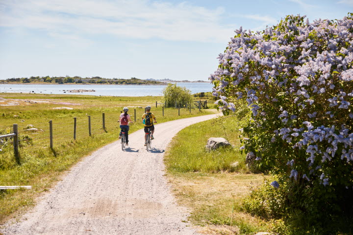 Två personer cyklar på en ö.