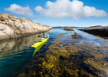 Kajak i Bohuslän