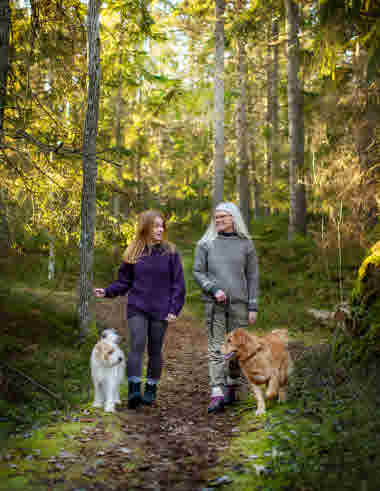 Mörttjärns naturreservat, Dals Rostock