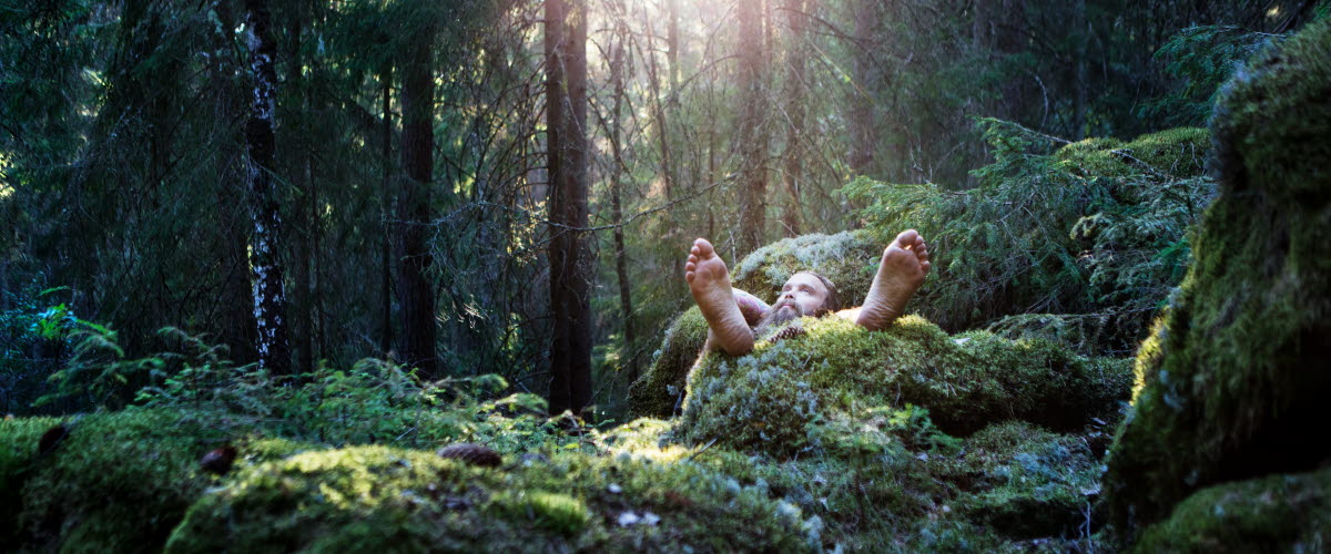 person lying in the forest