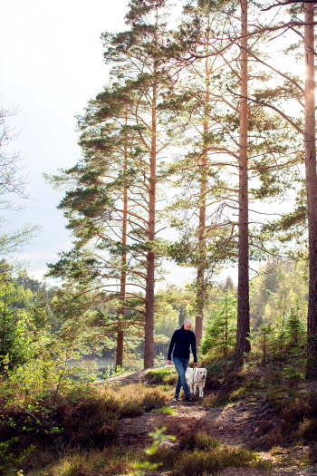 Amunds hatt & Rövargrottan