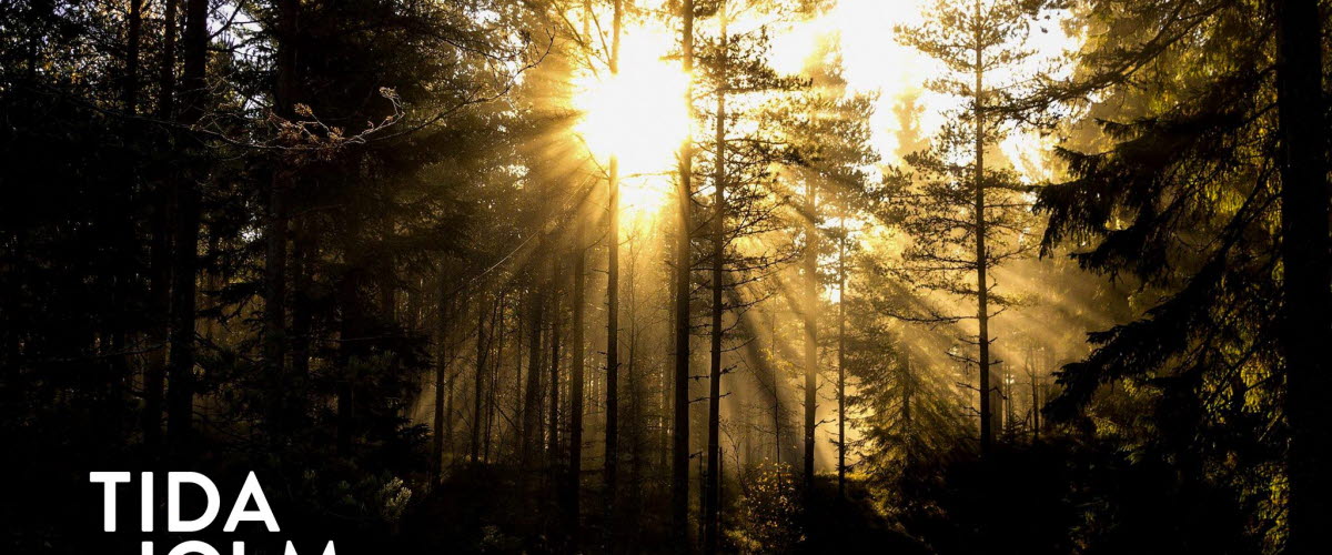 
Sun shining through trees in a forest. The logo with the text Tidaholm is inlaid in white text in the lower left corner of the image