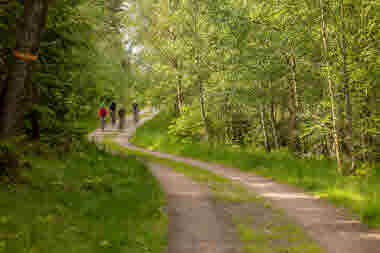 Ljungleden, Vårgårda