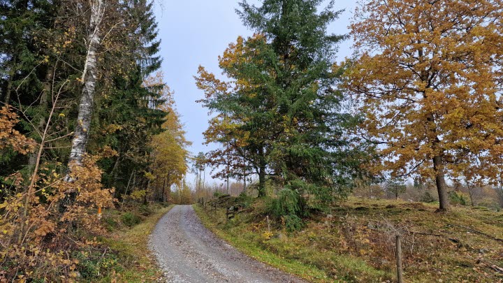 Marbäcksleden