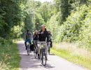 Four people are cycling on a bike path in a beautiful green landscape