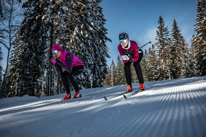 Skidåkare på Billingen
