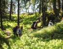 Hike on Kroppefjäll.