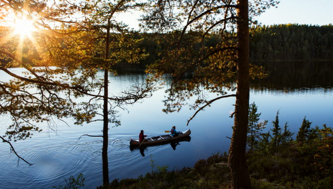 Canoe in a lake
