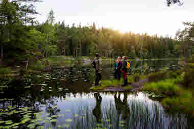 Tresticklan Nationalpark