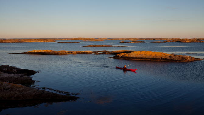 En röd kajak paddlar förbi ett skär i skymningen i Kosterhavet.