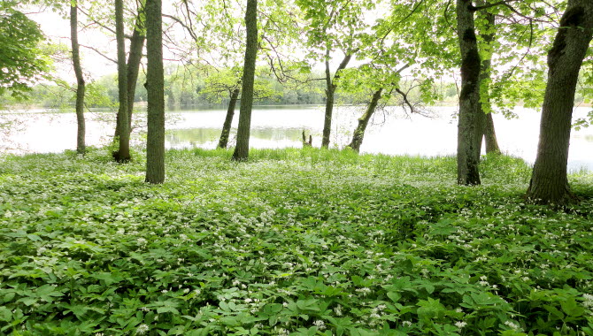 Höjentorp