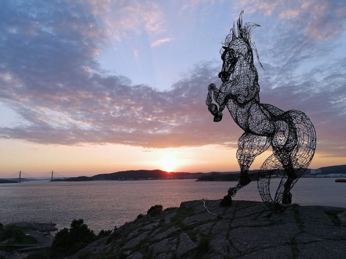 Syrian Horse