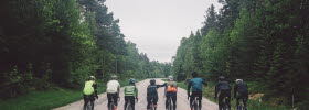 Cyclists in a green and beautiful nature.