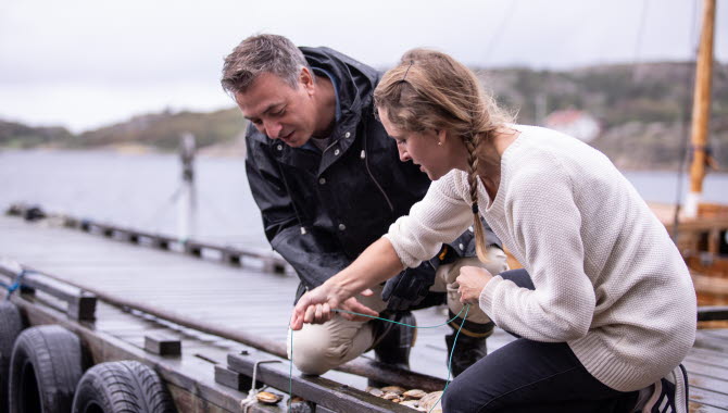 Ostron vid Everts Sjöbod i Grebbestad