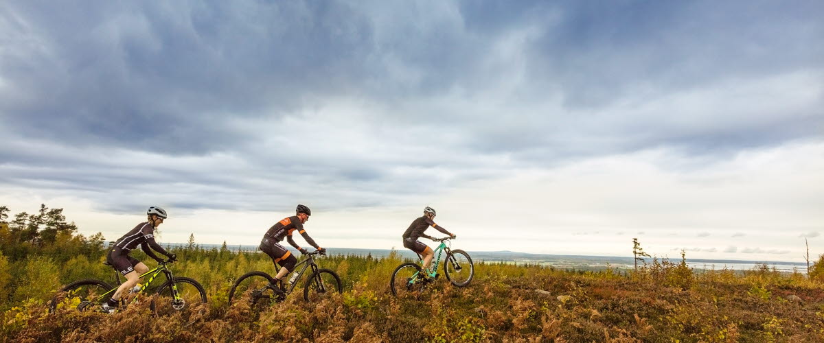 Three mountain bikers ride their bikes on the top of a mountain with great view over the landscape. In the background, dark dramatic clouds appear.