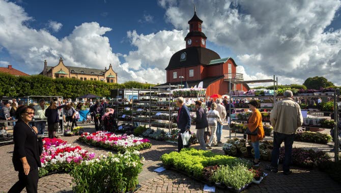 Torghandel med stånd av blommor. Människor som handlar och Rådhuset, en röd träbyggnad, syns i bakgrunden.