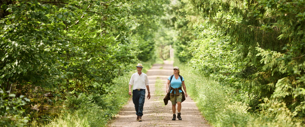 Två personer som vandrar på pilgrimsled genom skogen.