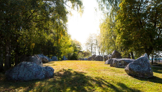 24 stones lies in the formation of a ship surrounded by birch trees.