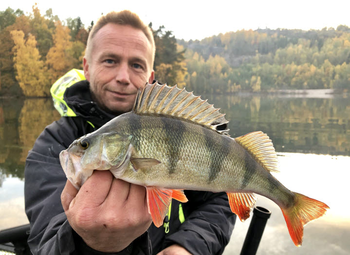 Sportfishing Dalsland