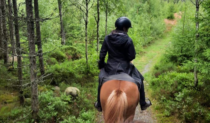 Ridtur i Hajoms vackra skogar