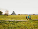 Vandring vid Hornborgasjön